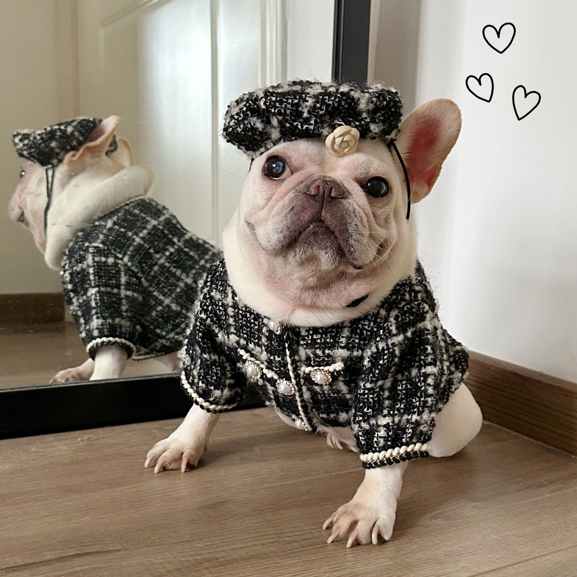 Dog  Plaid Tweed Fabric coat with beret for small medium dogs