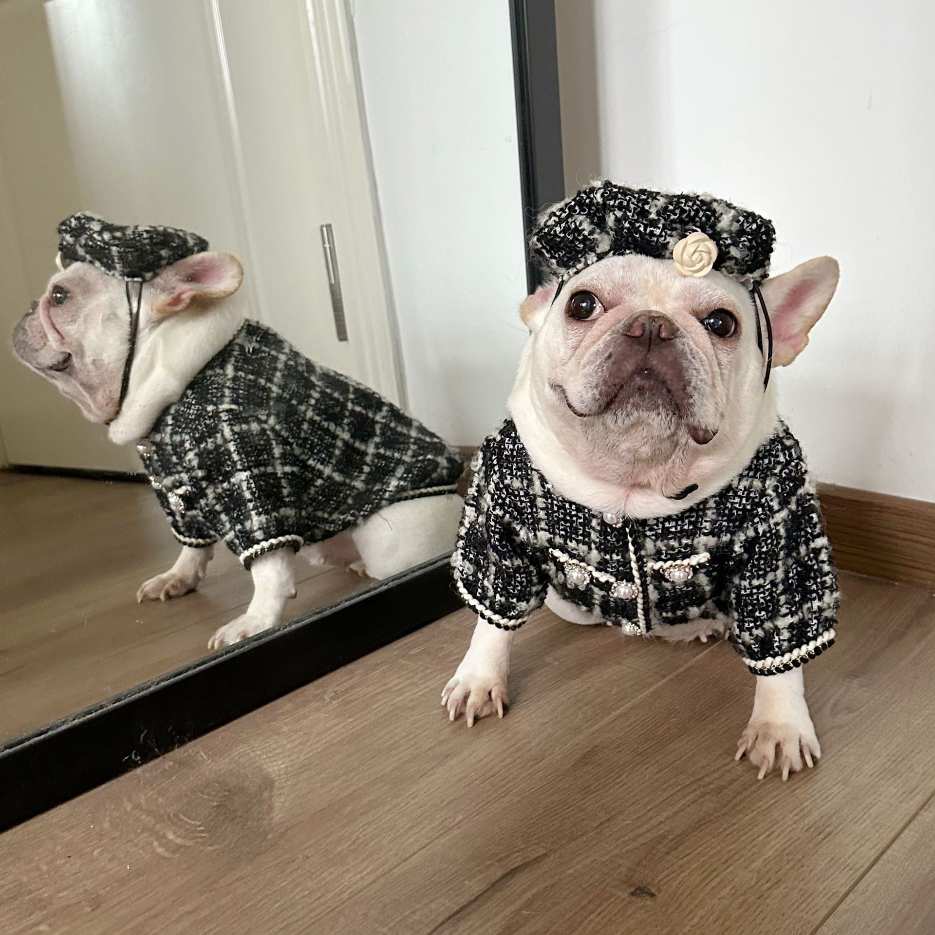 Dog  Plaid Tweed Fabric coat with beret for small medium dogs