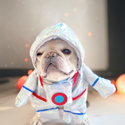 Dog wearing an astronaut costume with a space-themed background