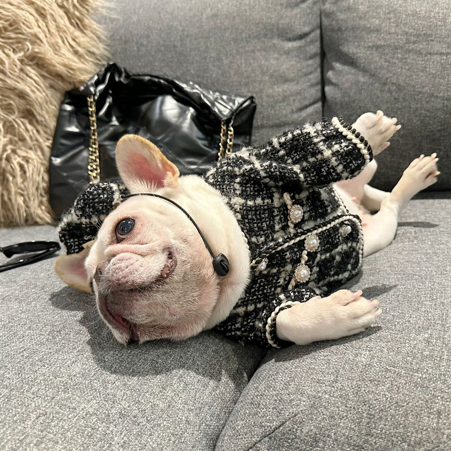 Dog  Plaid Tweed Fabric coat with beret for small medium dogs