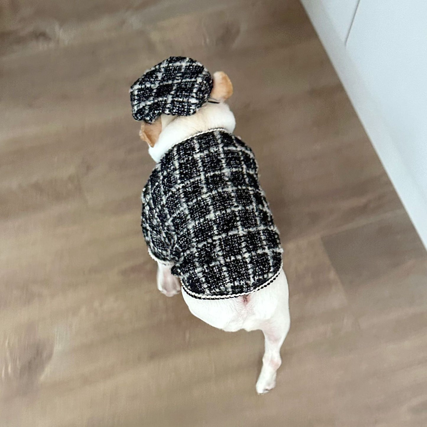 Dog  Plaid Tweed Fabric coat with beret for small medium dogs