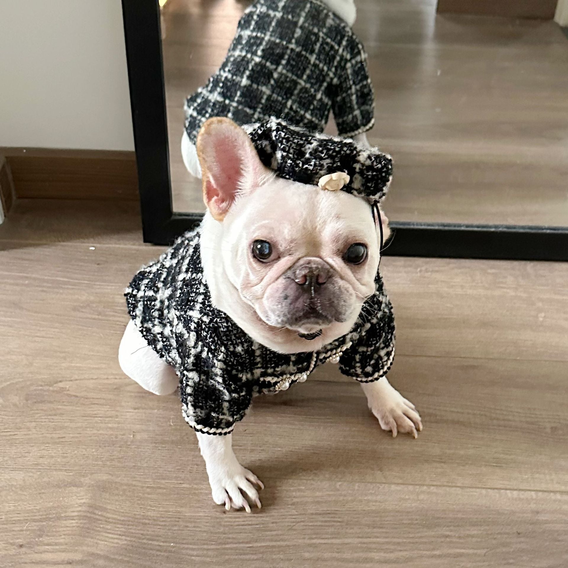 Dog  Plaid Tweed Fabric coat with beret for small medium dogs