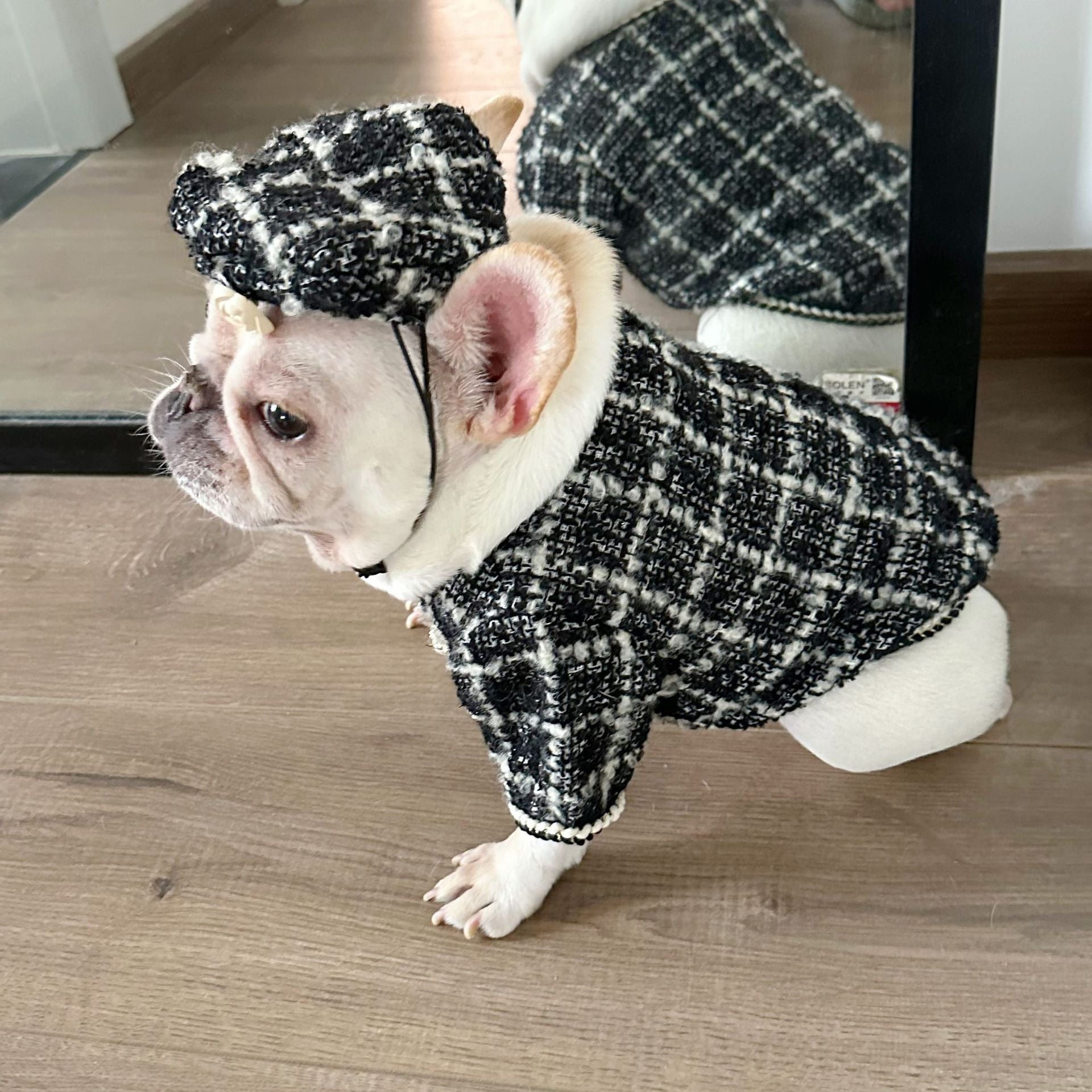 Dog  Plaid Tweed Fabric coat with beret for small medium dogs
