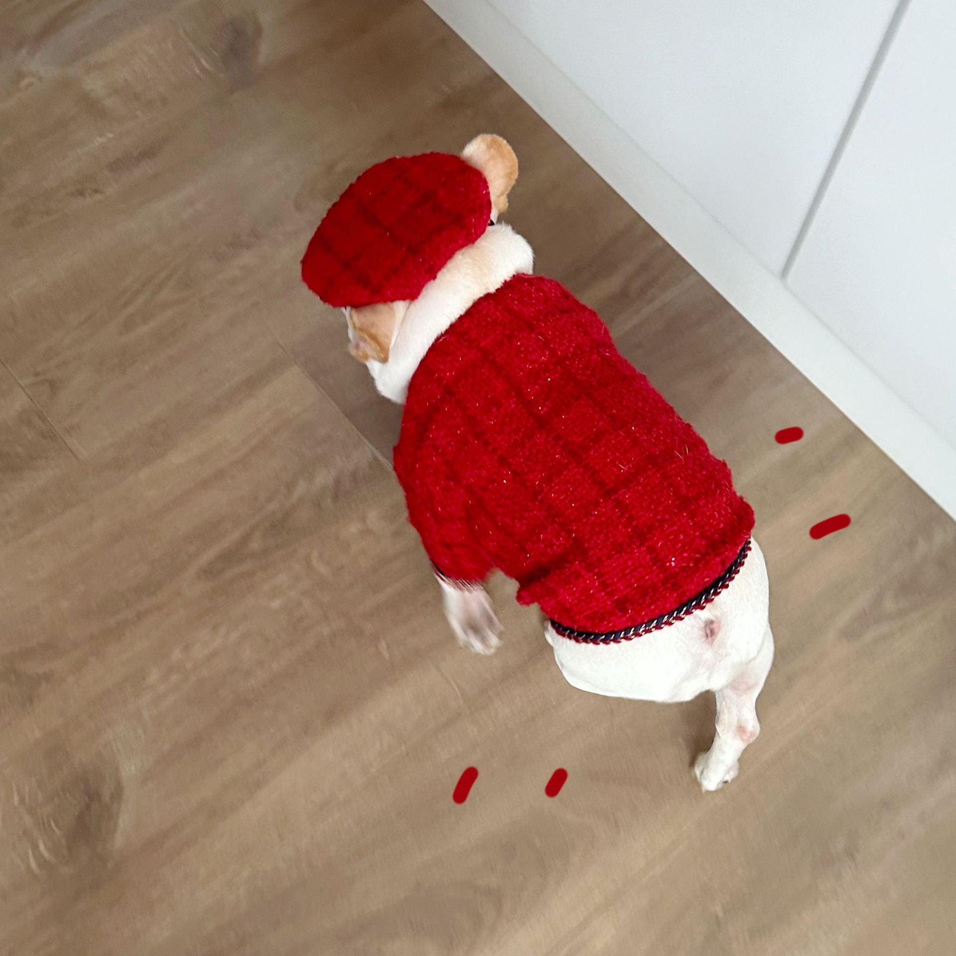 Dog  Plaid Tweed Fabric coat with beret for small medium dogs