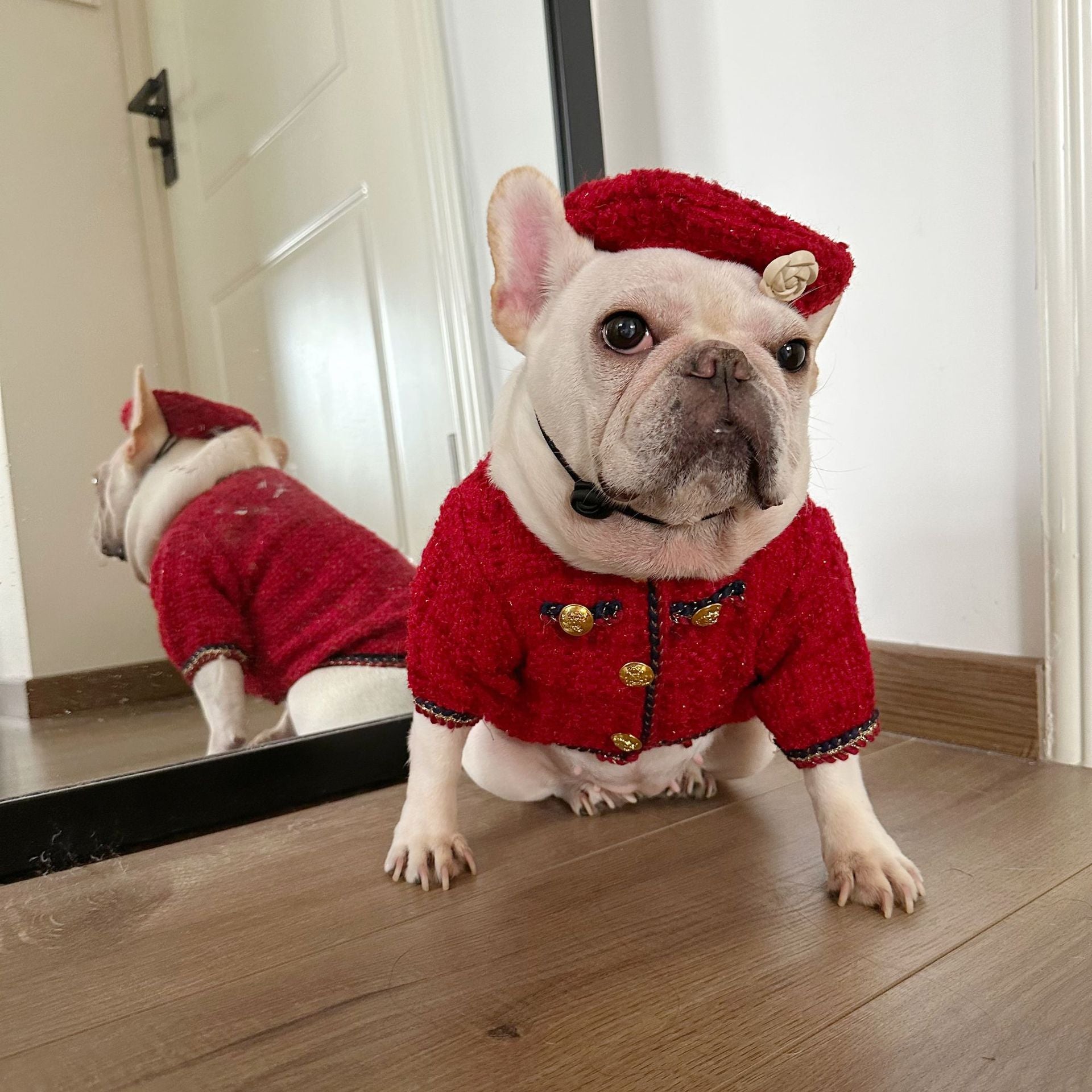 Dog  Plaid Tweed Fabric coat with beret for small medium dogs