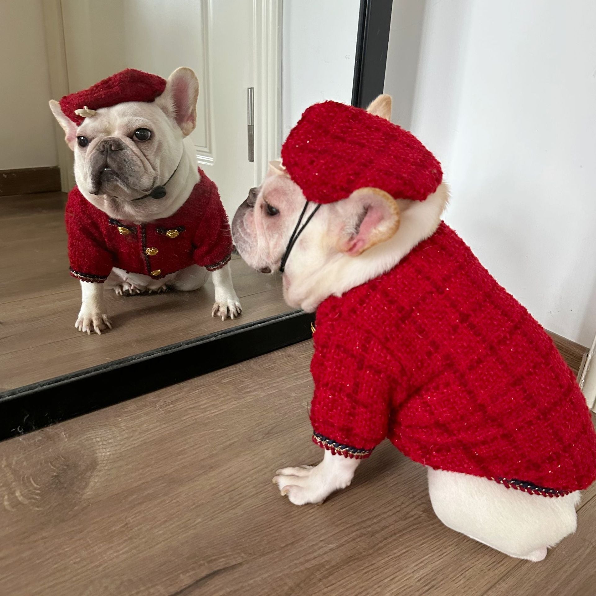 Dog  Plaid Tweed Fabric coat with beret for small medium dogs