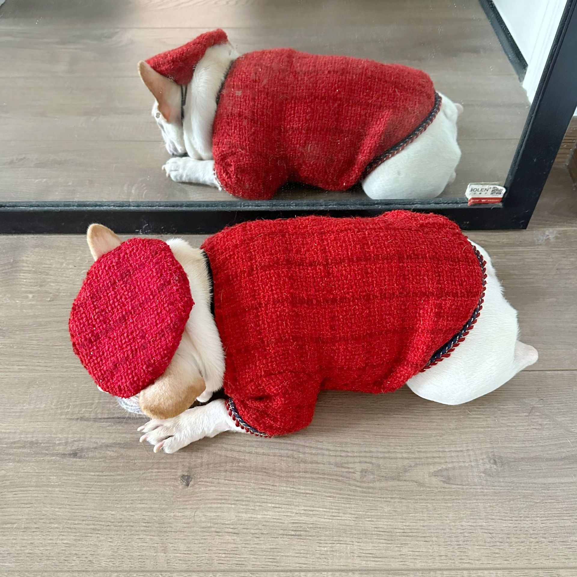 Dog  Plaid Tweed Fabric coat with beret for small medium dogs
