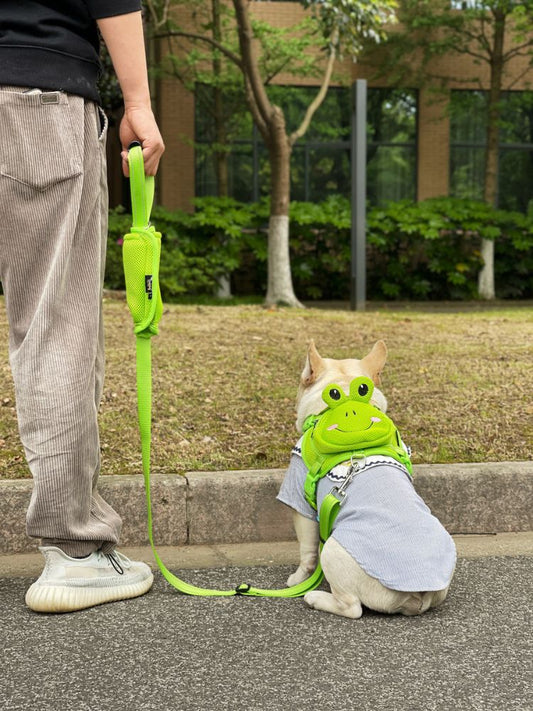 Dog Duck Mesh Backpack Harness Bag with harness Leash