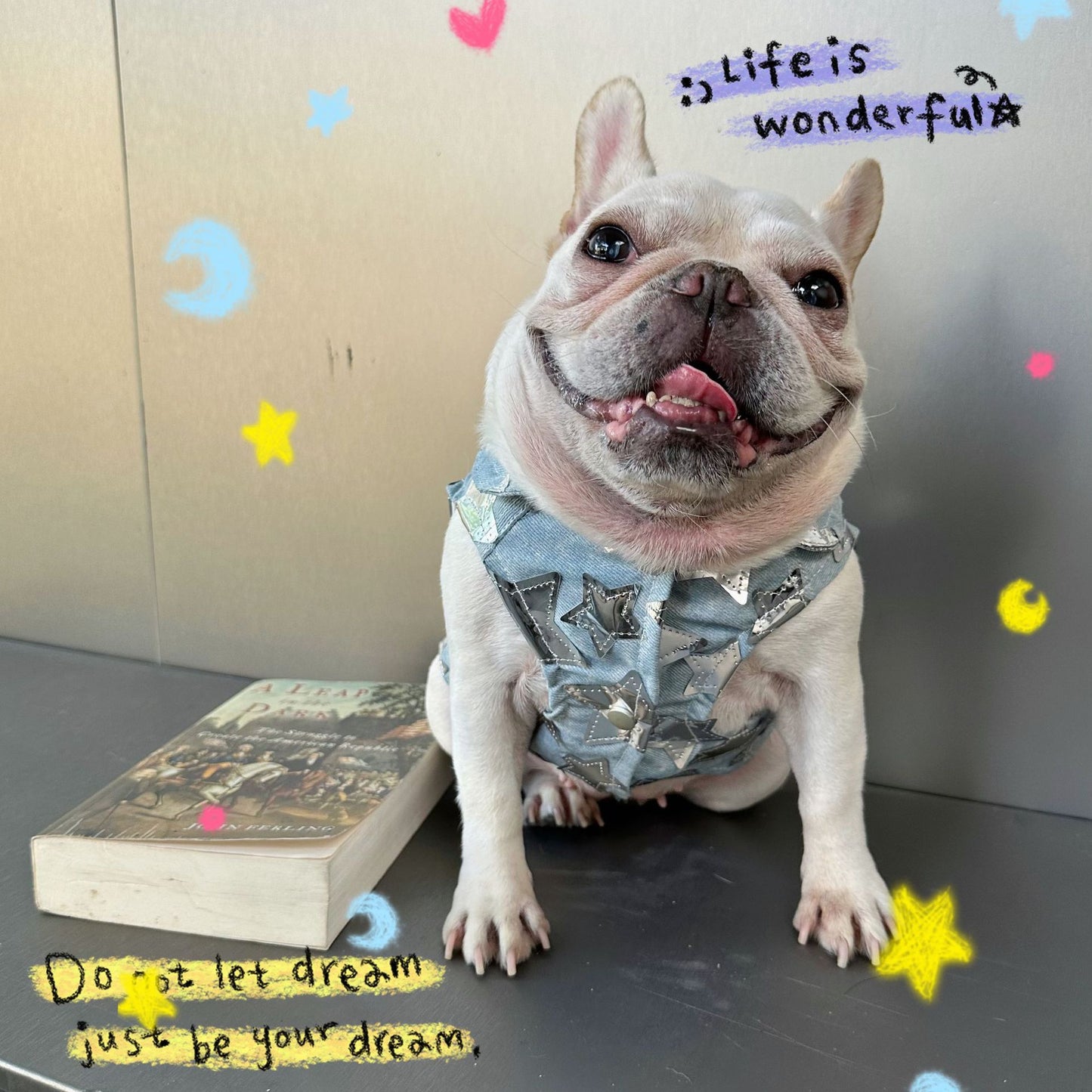 Dog Fancy Stars Denim Vest DogFancyStarsDenimVestformediumdogsbyFrenchiely_4