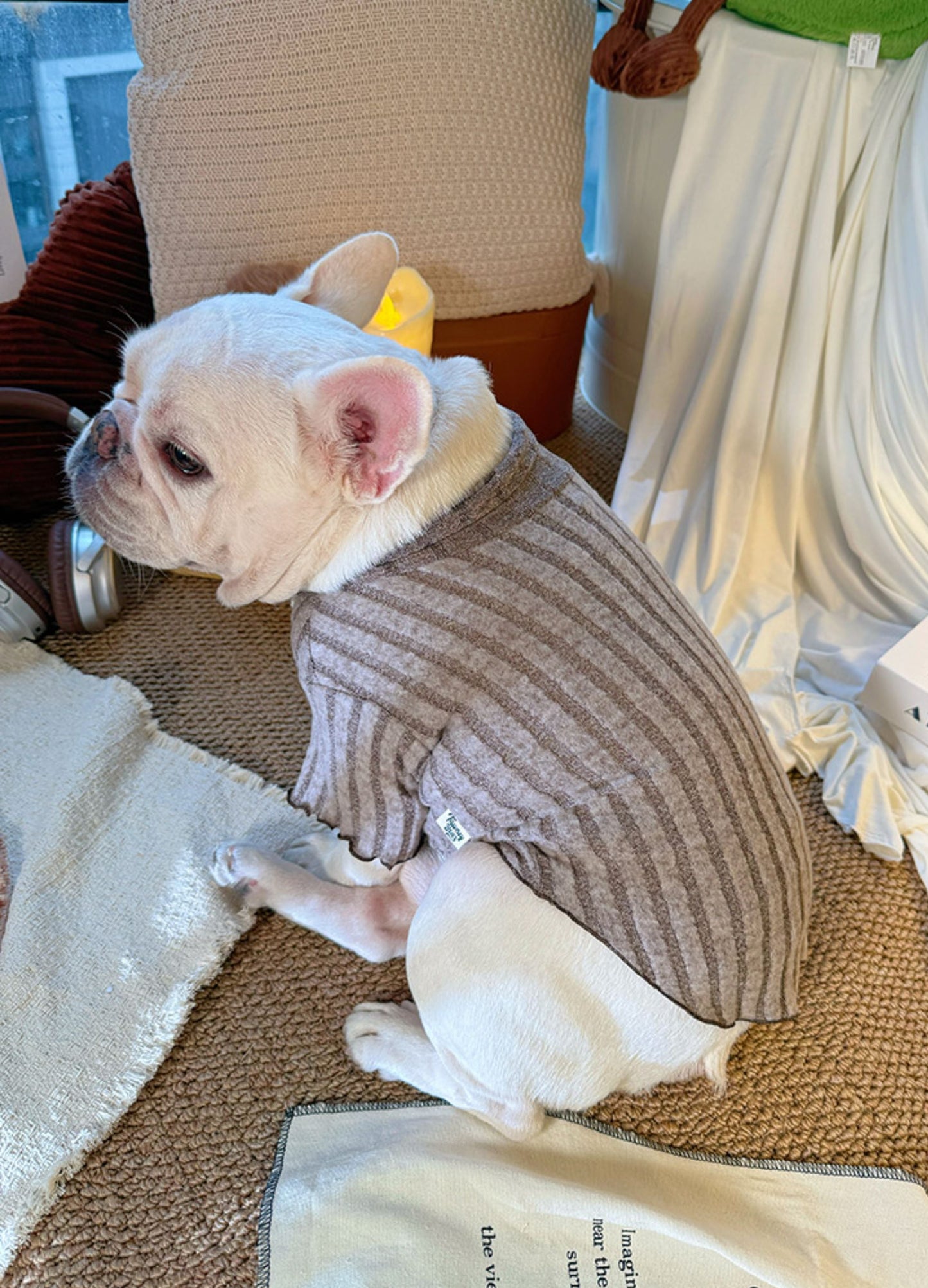 Luxury Ultra Soft Bowtie Shirt DogLuxuryUltraSoftBowtieShirtforsmallmediumdogsbyFrenchiely_5