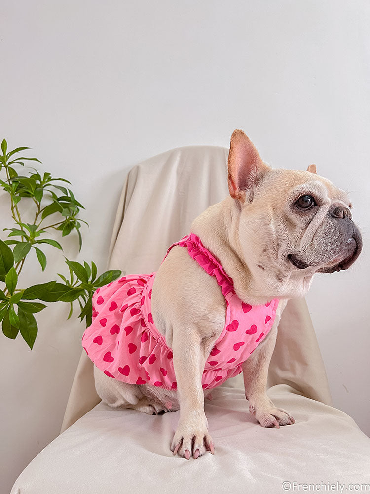 dog pink heart dress for female medium dogs by frenchiely