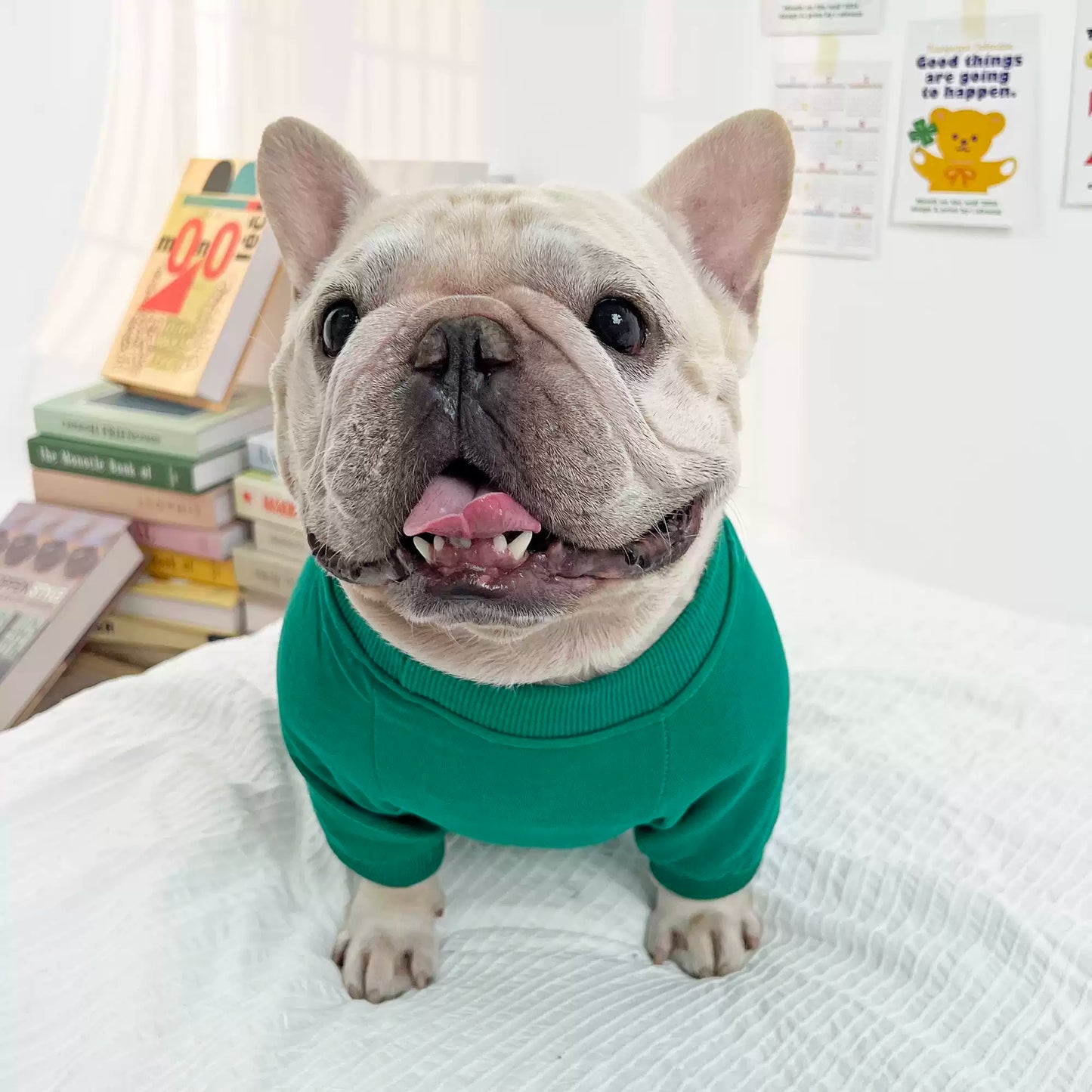 Warm Tiger Pajamas Dogwinterwarmfleecelinedpajamaonesieforfrenchbulldogspugs_2