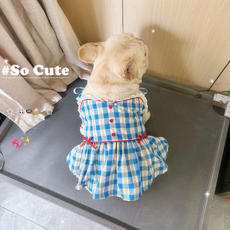 Blue Plaid Dress