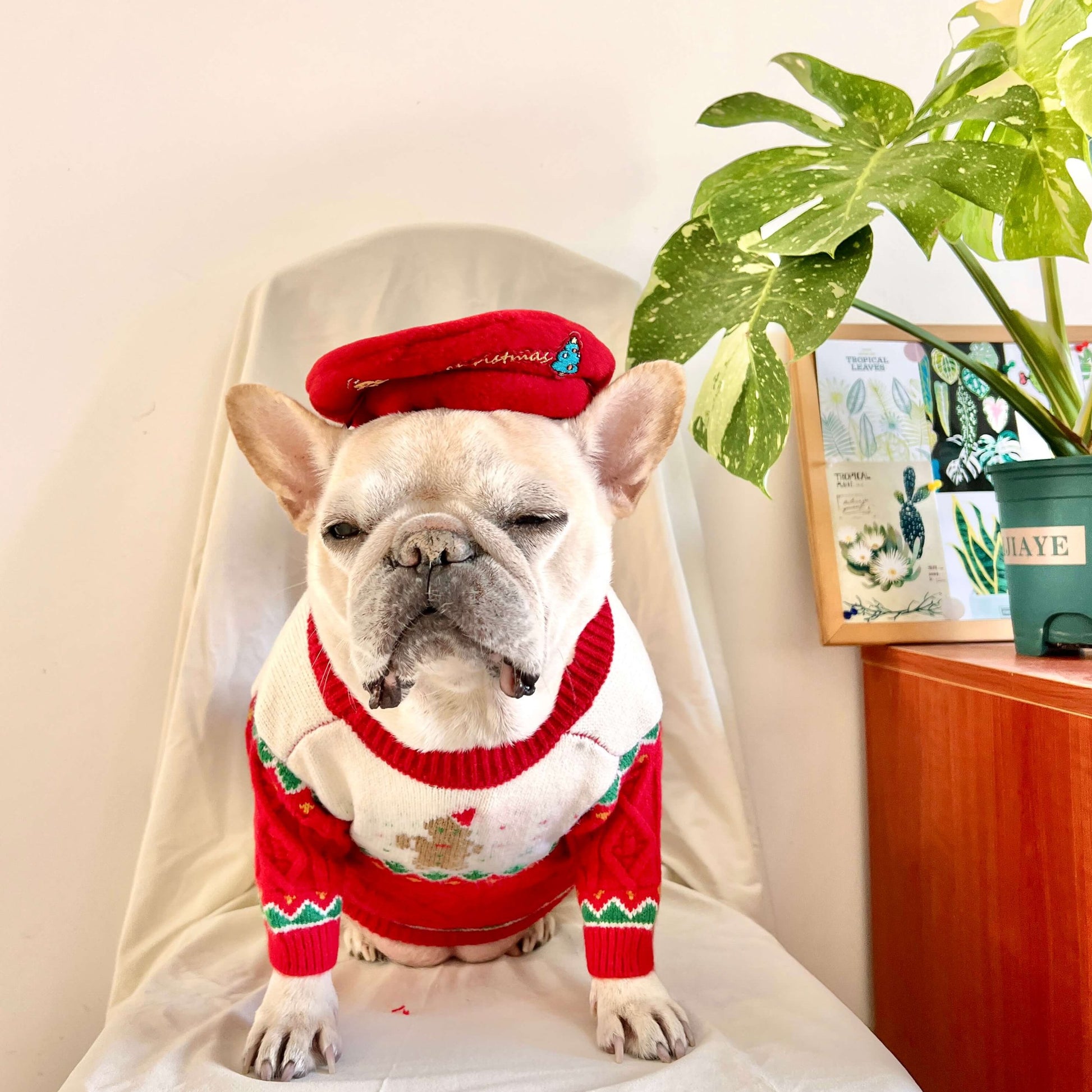 Dog Christmas Reindeer Sweater with Hat for medium dogs by Frenchiely