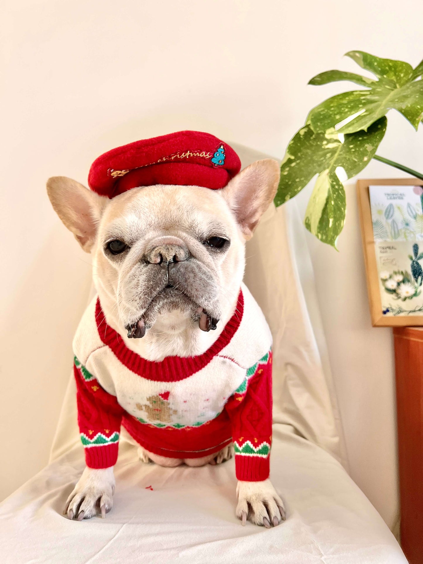 Dog Christmas Reindeer Sweater with Hat for medium dogs by Frenchiely