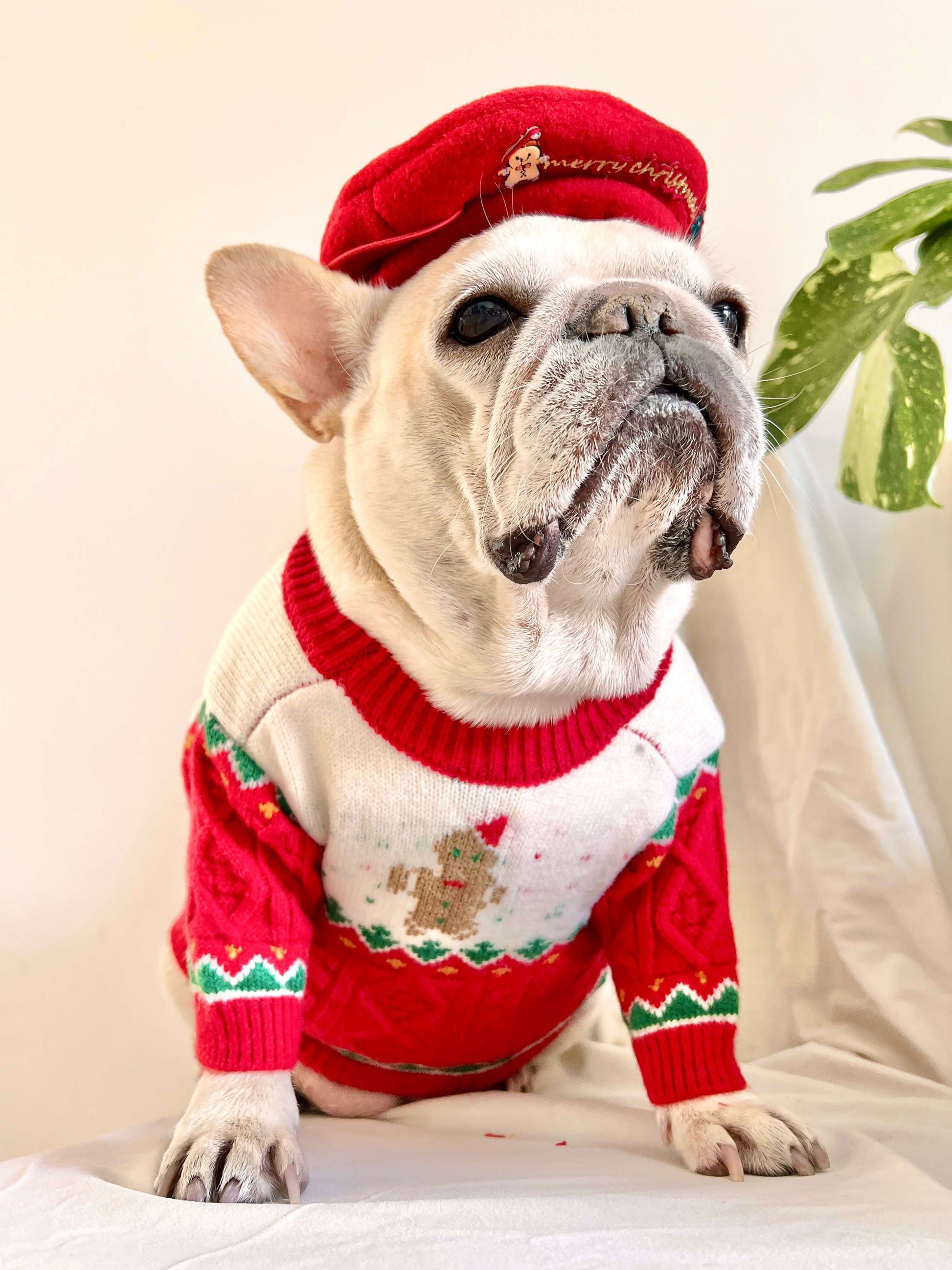 Dog Christmas Reindeer Sweater with Hat for medium dogs by Frenchiely
