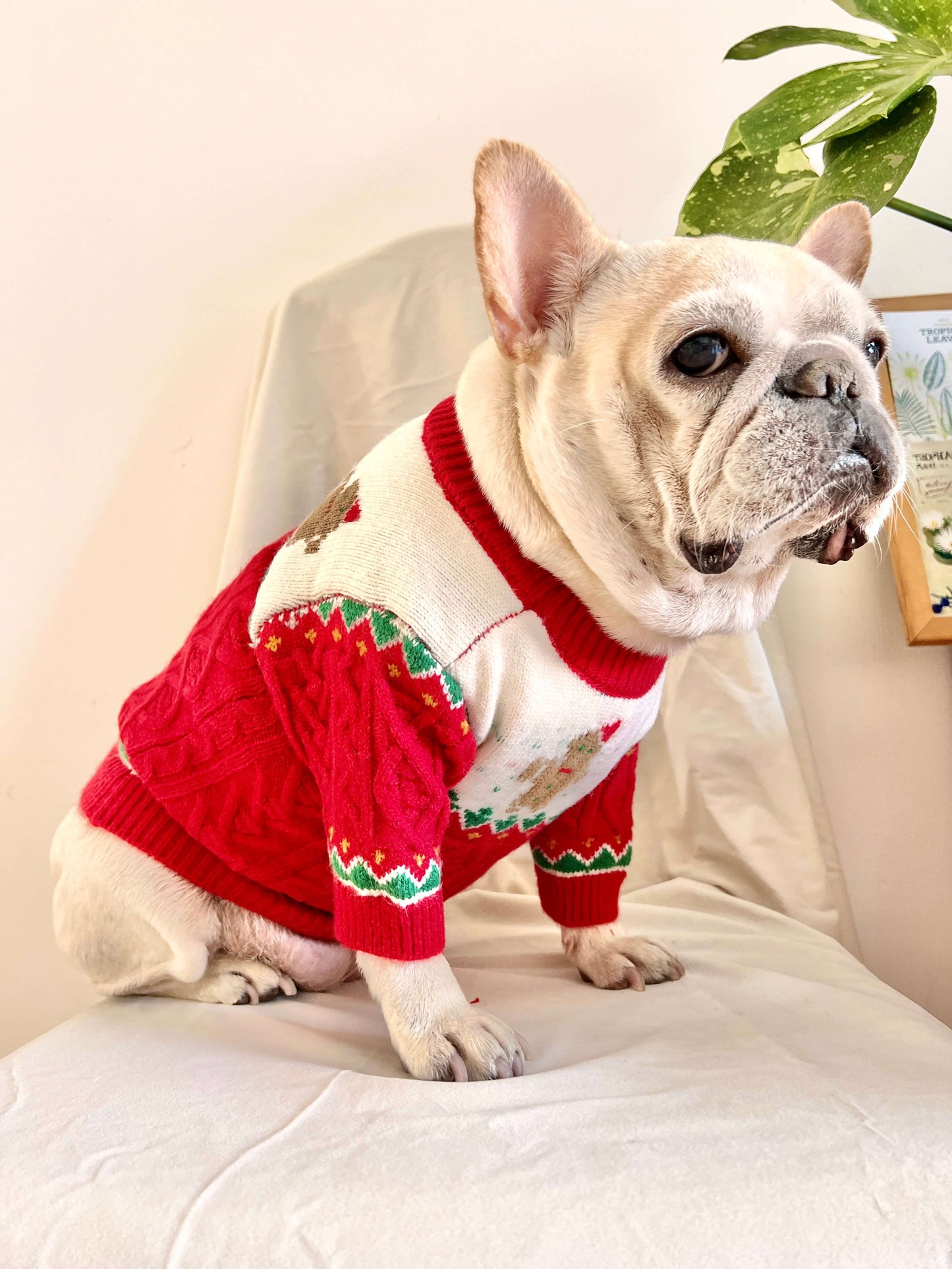 Dog Christmas Reindeer Sweater with Hat for medium dogs by Frenchiely