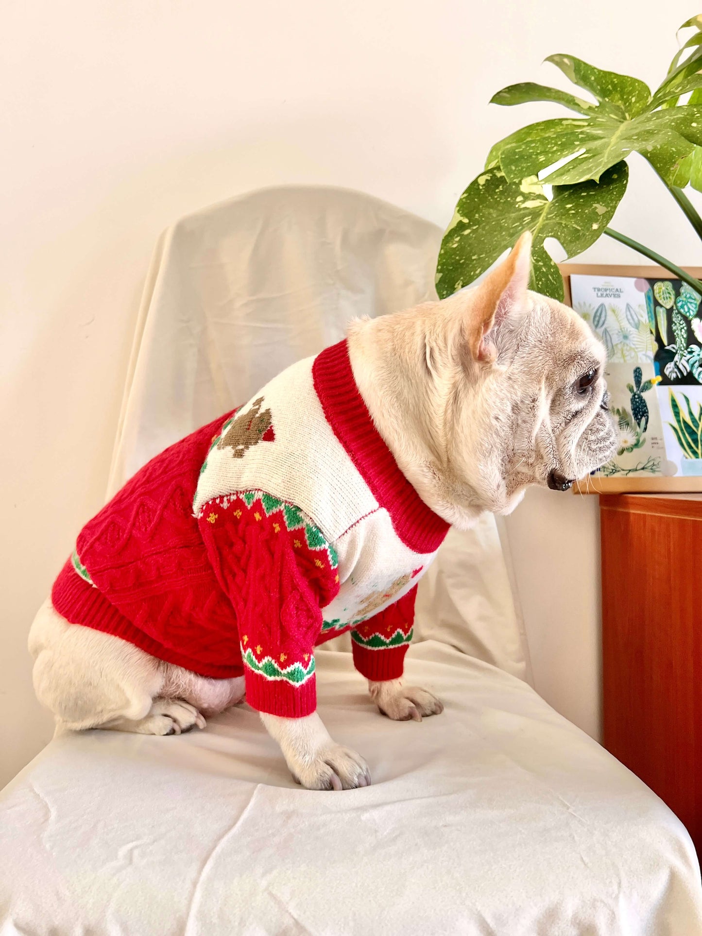 Dog Christmas Reindeer Sweater with Hat for medium dogs by Frenchiely