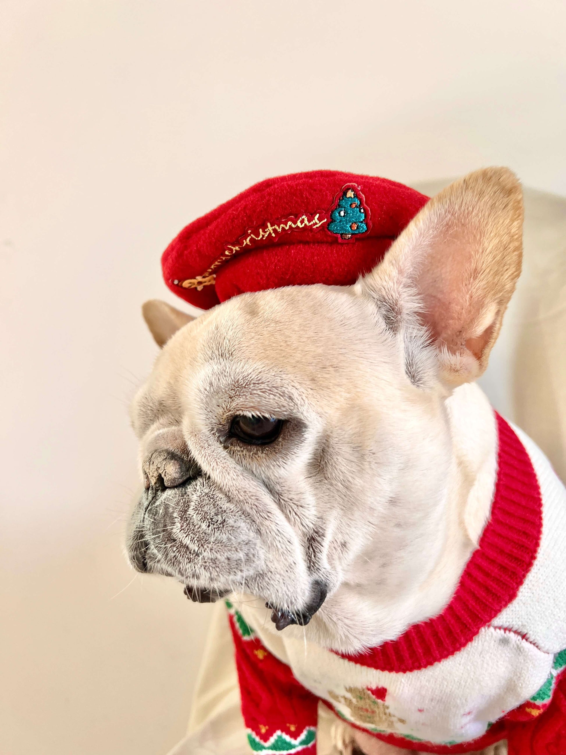 Dog Christmas Reindeer Sweater with Hat for medium dogs by Frenchiely