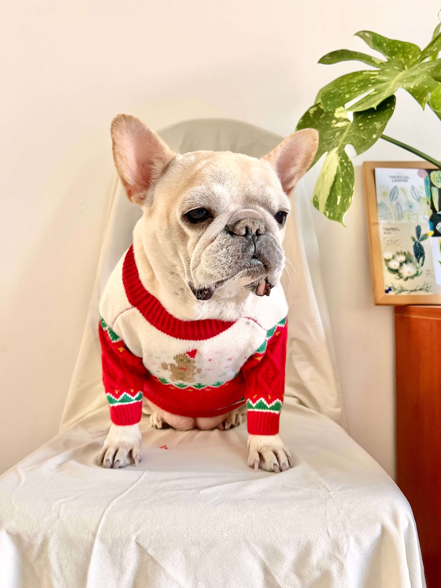 Dog Christmas Reindeer Sweater with Hat for medium dogs by Frenchiely