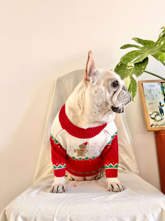 Dog Christmas Reindeer Sweater with Hat for medium dogs by Frenchiely
