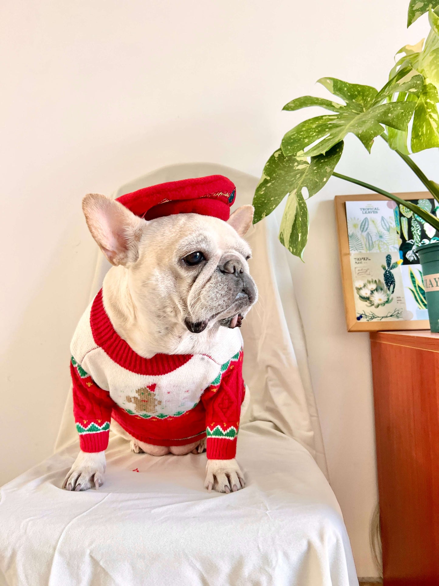 Dog Christmas Reindeer Sweater with Hat for medium dogs by Frenchiely