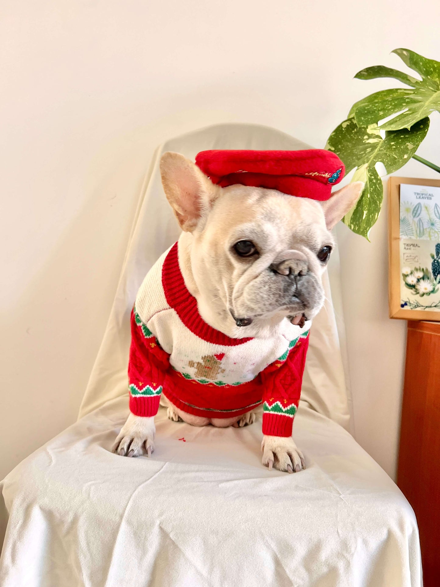 Dog Christmas Reindeer Sweater with Hat for medium dogs by Frenchiely