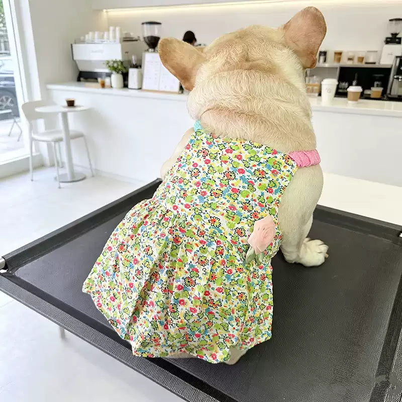 Summer Floral Dress with Pink Pin Frenchielydogflowerpinfloraldressformediumdogbreeds_4