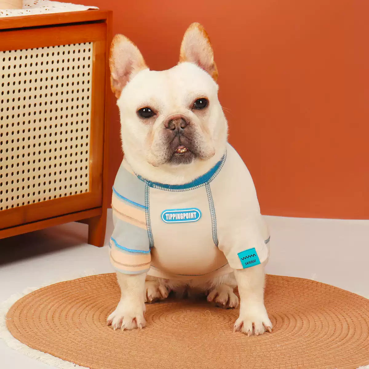 Doggie Shirt