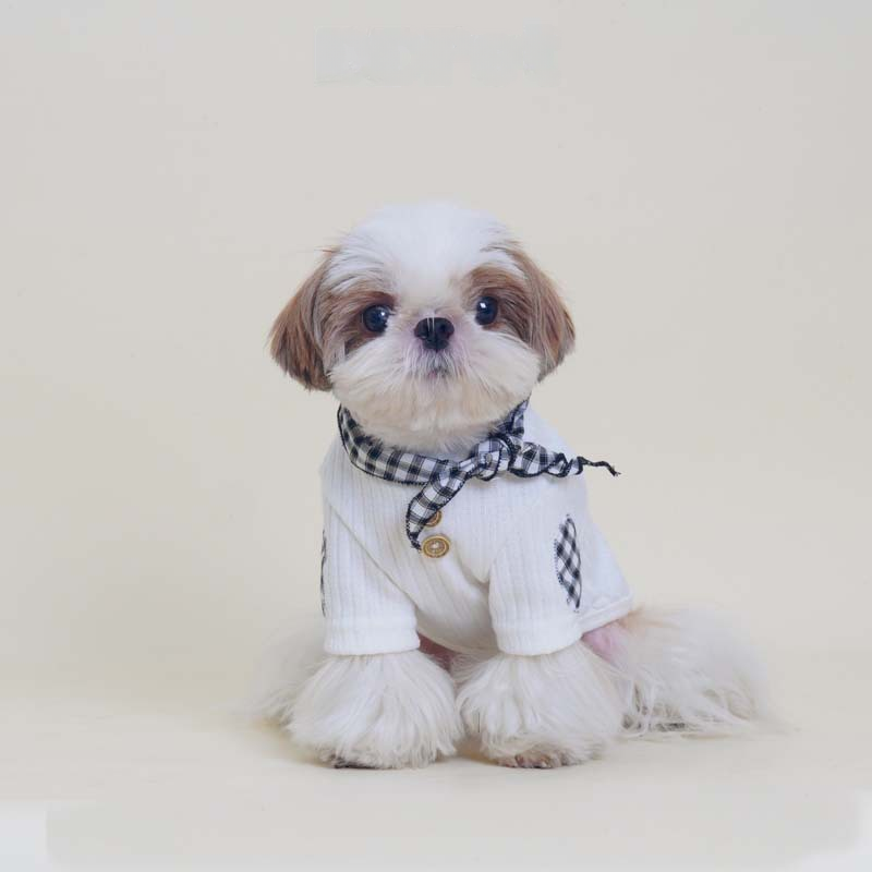Houndstooth Scarf Sweater dogHoundstoothPatternSweaterforchunkyfrenchbulldogs_12