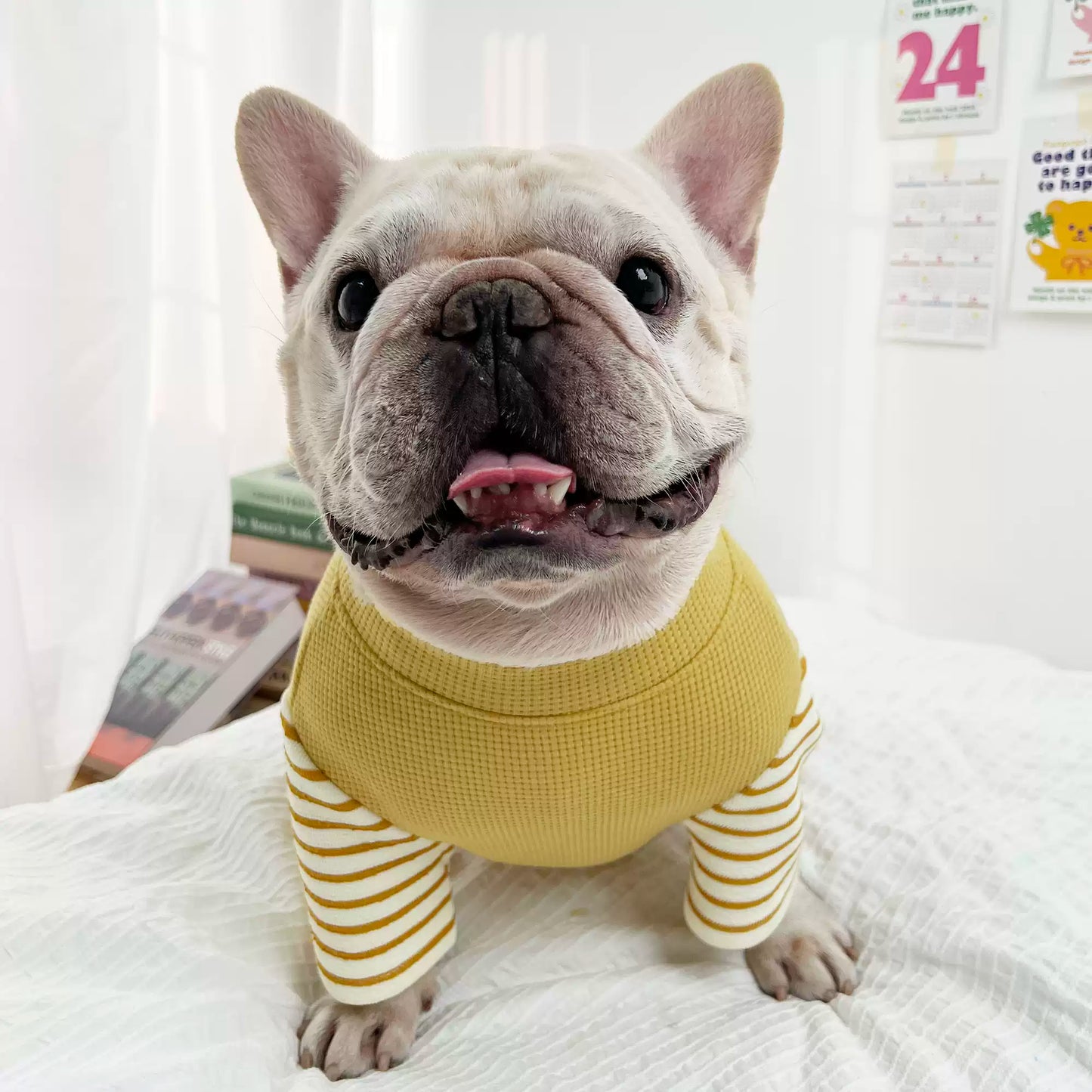 Stripe Onesie PJs dogStripeOnesiePJsformediumdogbreedsbyFrenchiely_3