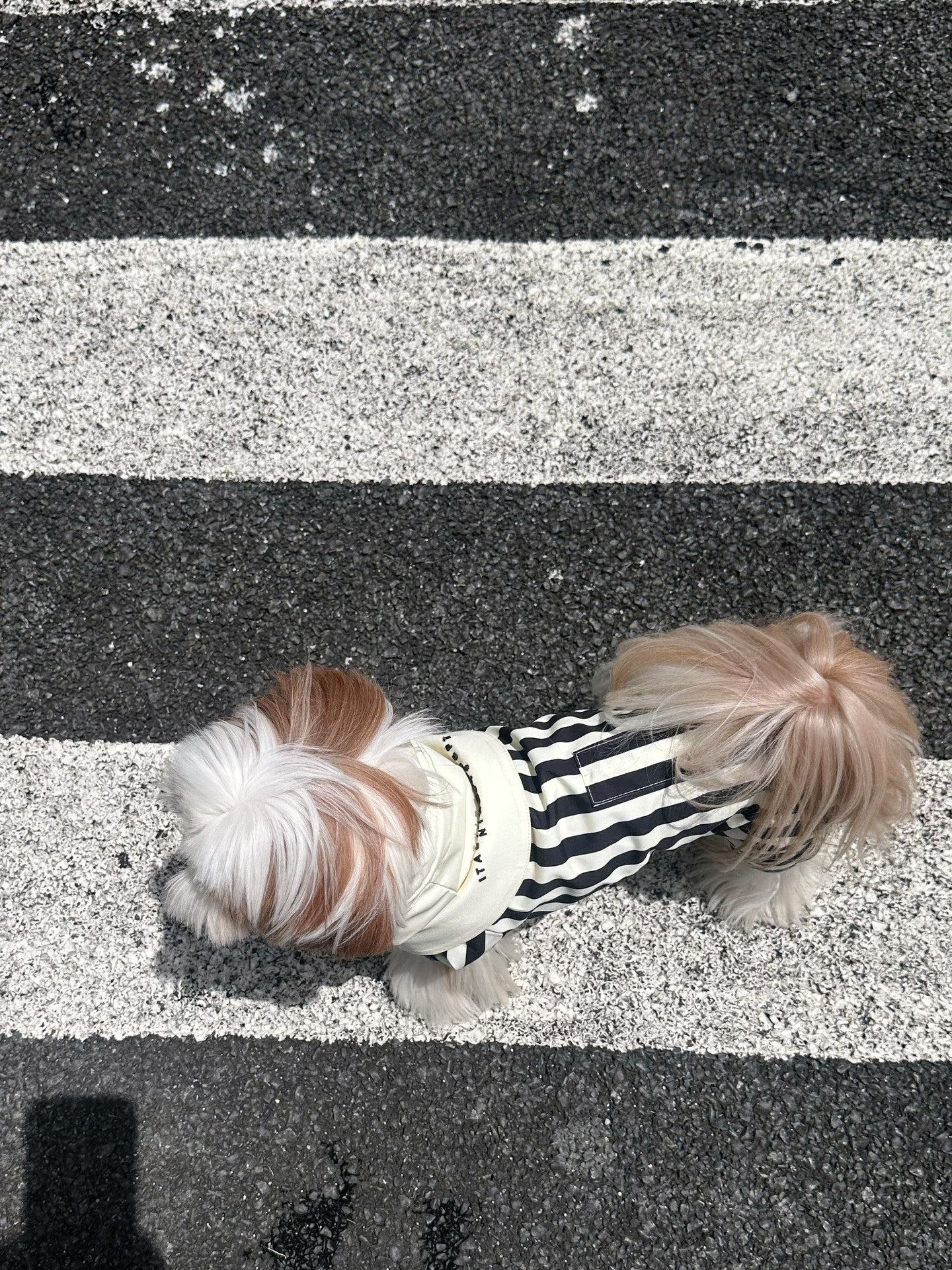 Black & Stripe Onesie Raincoat
