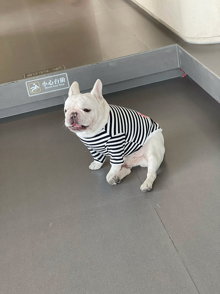 Dog Black Stripe Cherry Pullover Shirt by Frenchiely