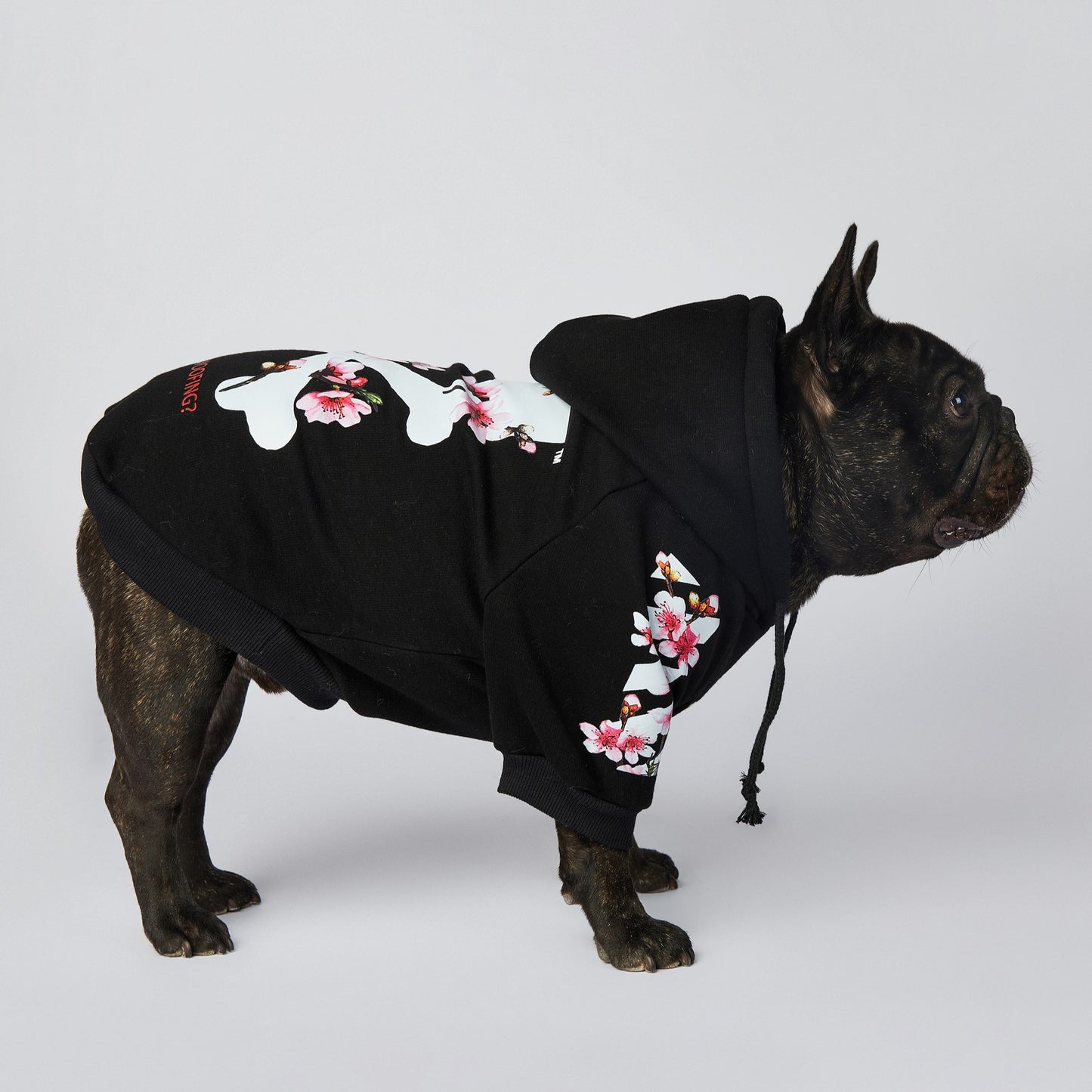 Dog Black Sakura Woof Hoodie - Frenchiely