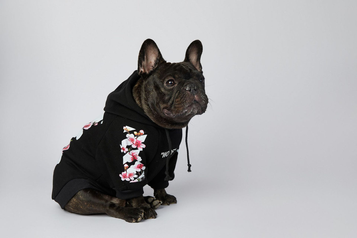 Dog Black Sakura Woof Hoodie - Frenchiely