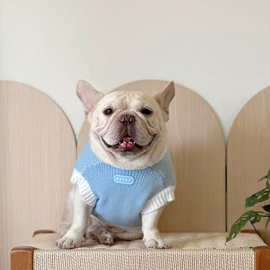 Warm Blue Bear Sweater dogbluebearwithwhitesweaterforsmallmediumdogsbyFrenchiely_3