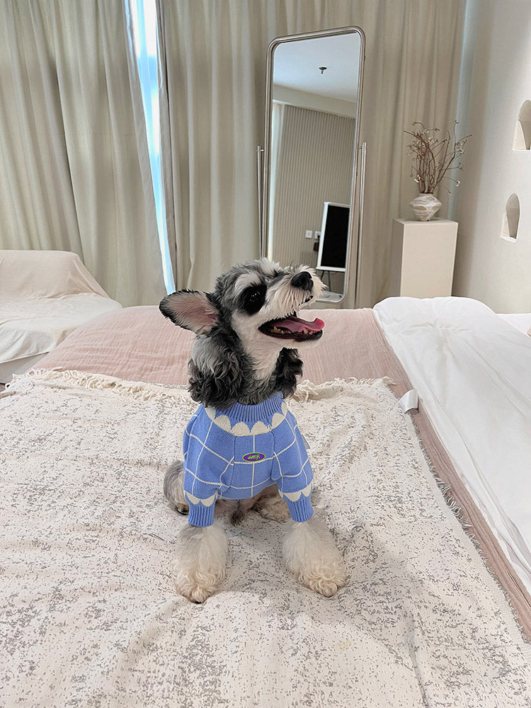 Dog Blue Cloud Sweater - Frenchiely