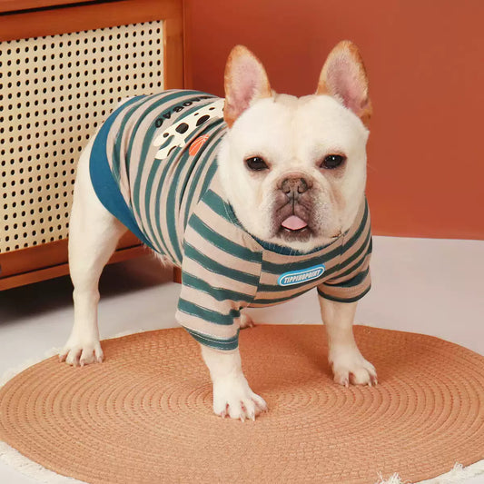 Blue Stripe Doggie Shirt dogbluedoggieshirtforfrenchbulldogs_6
