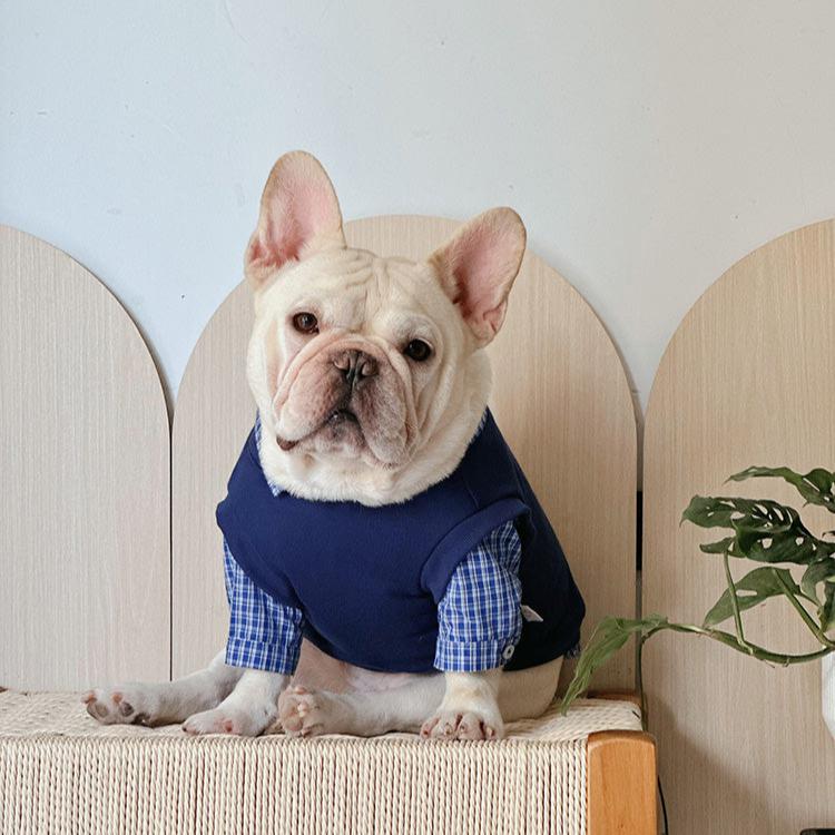 Dog Fake Two Piece Shirt in Blue for medium dog breeds by Frenchiely