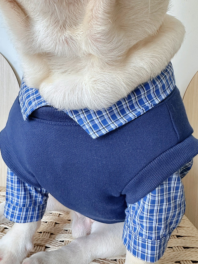 Dog Fake Two Piece Shirt in Blue for medium dog breeds by Frenchiely