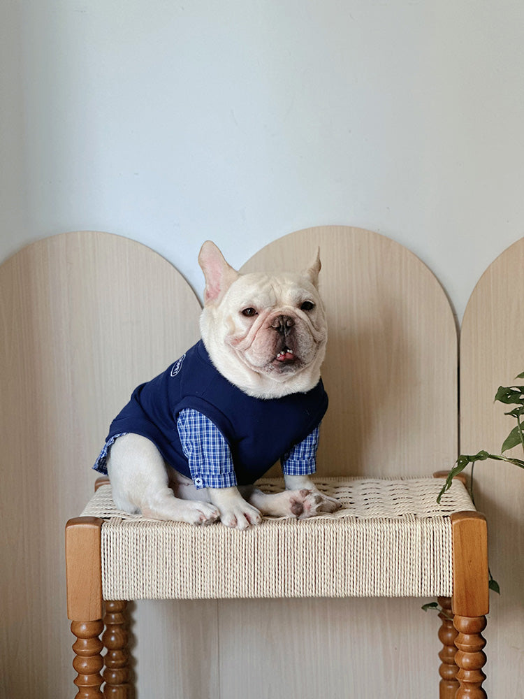 Dog Fake Two Piece Shirt in Blue for medium dog breeds by Frenchiely