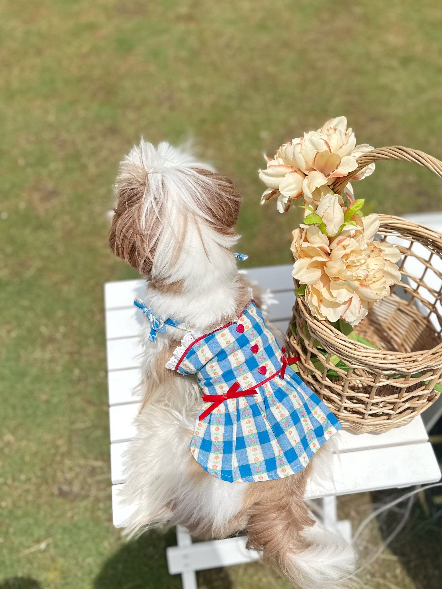 Blue Plaid Dress