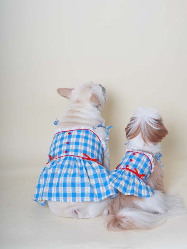 Blue Plaid Dress