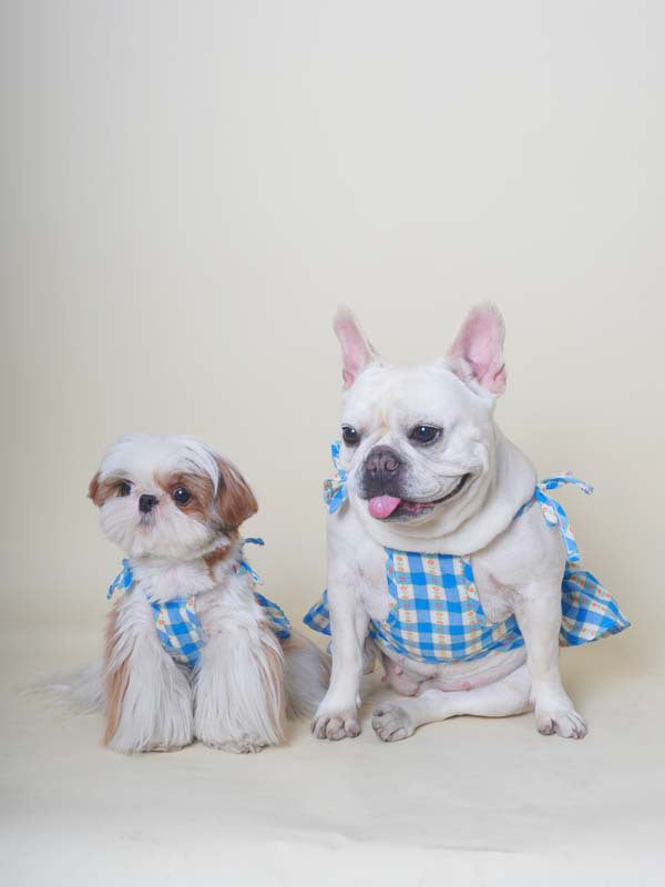 Blue Plaid Dress