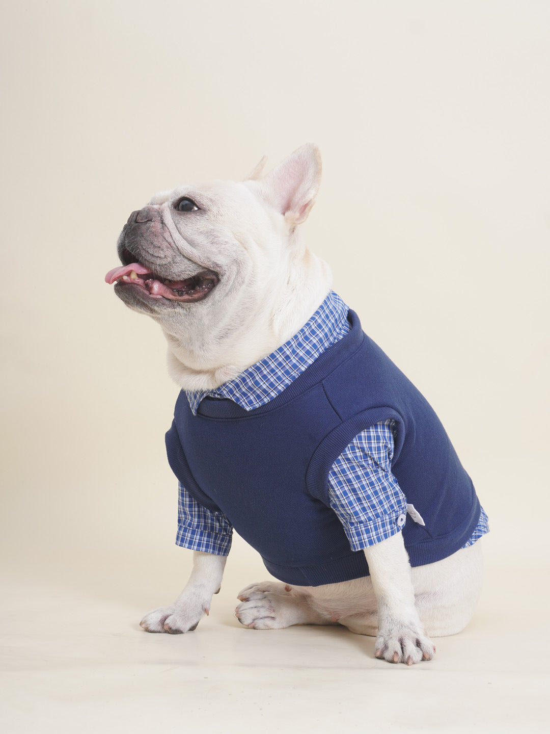 Dog Fake Two Piece Shirt in Blue for medium dog breeds by Frenchiely