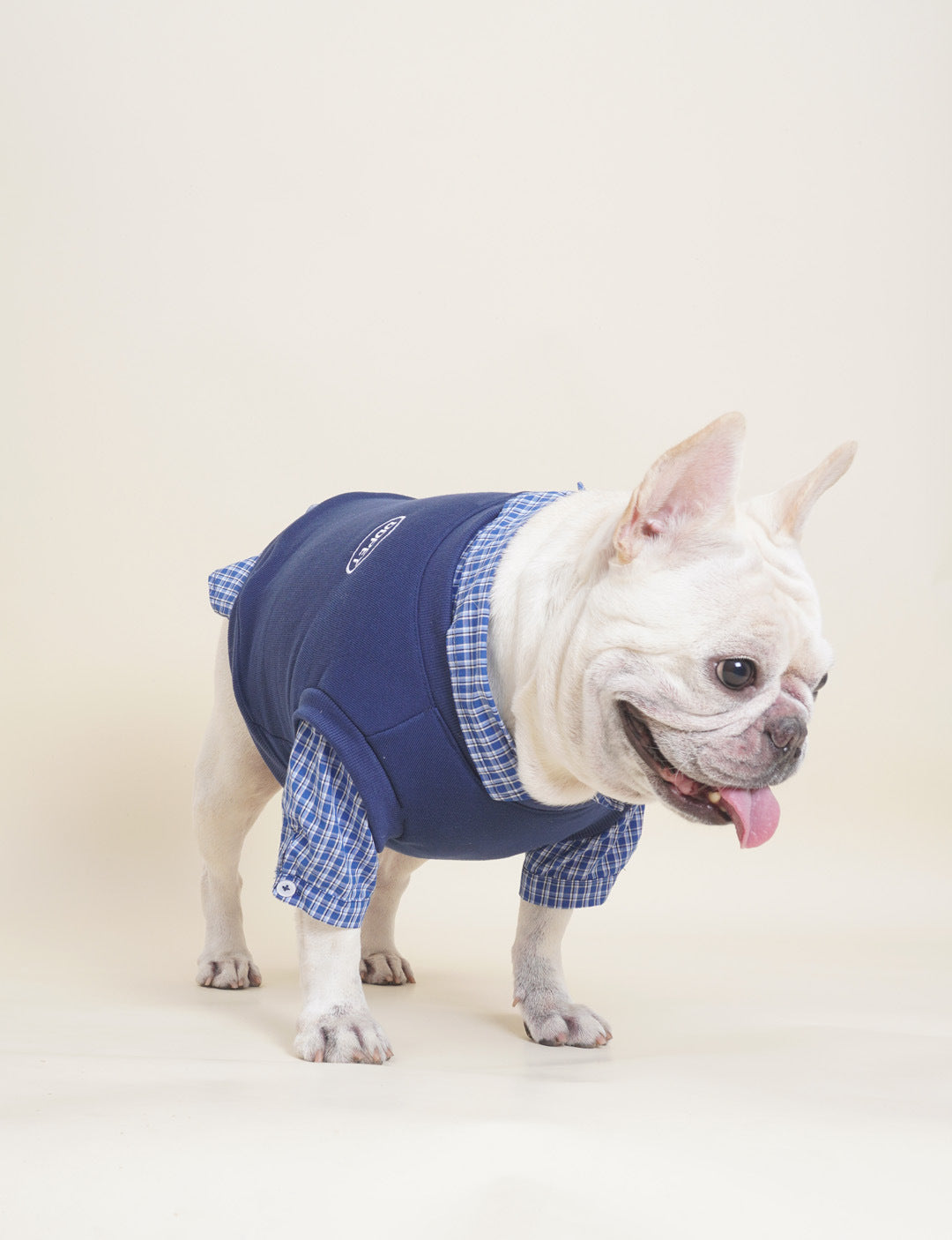 Dog Fake Two Piece Shirt in Blue for medium dog breeds by Frenchiely