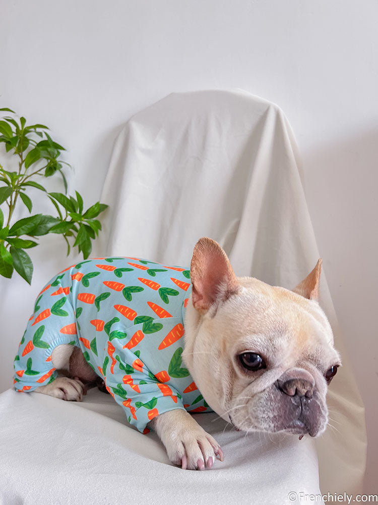 Dog carrot onesie pajmas for medium dogs by Frenchiely 