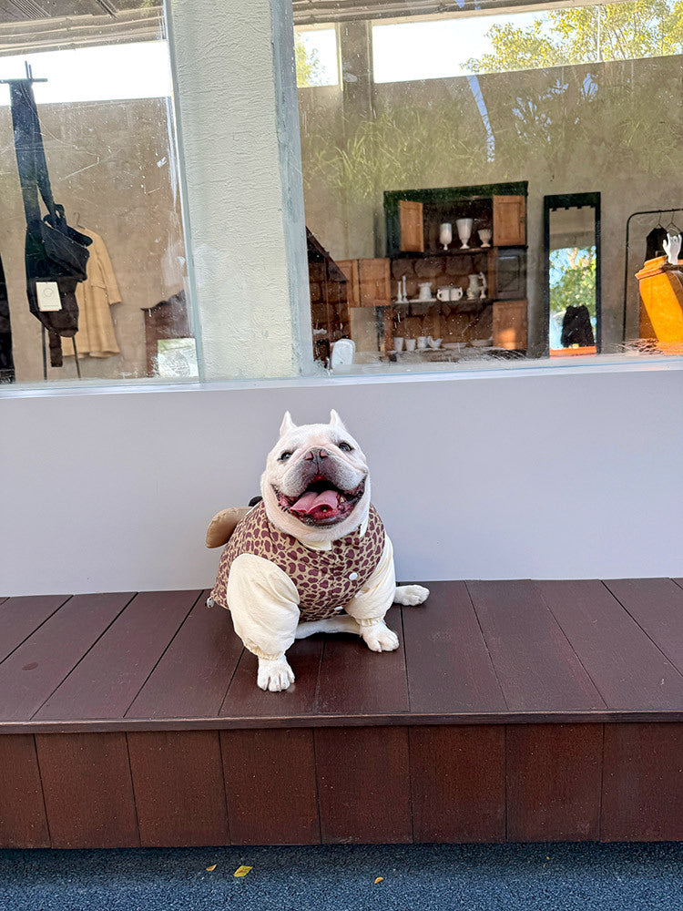 Dog Cartoon Winter Jacket for Chunky French BUlldogs