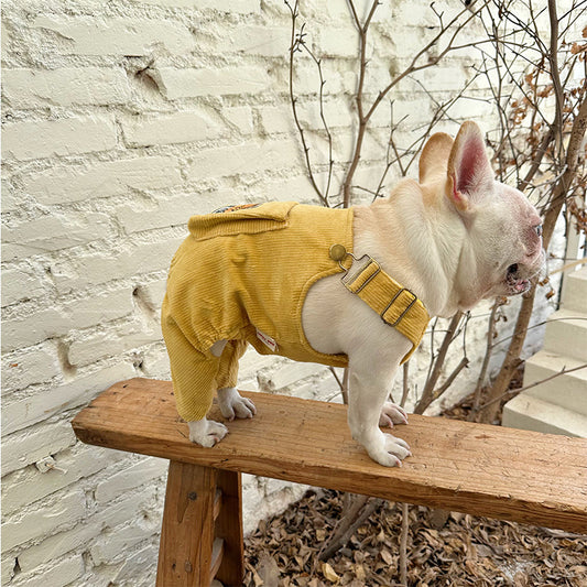 Overalls 'Have Fun' dogcartoonyellowonesiejumpsuitforsmallmediumdogs_13