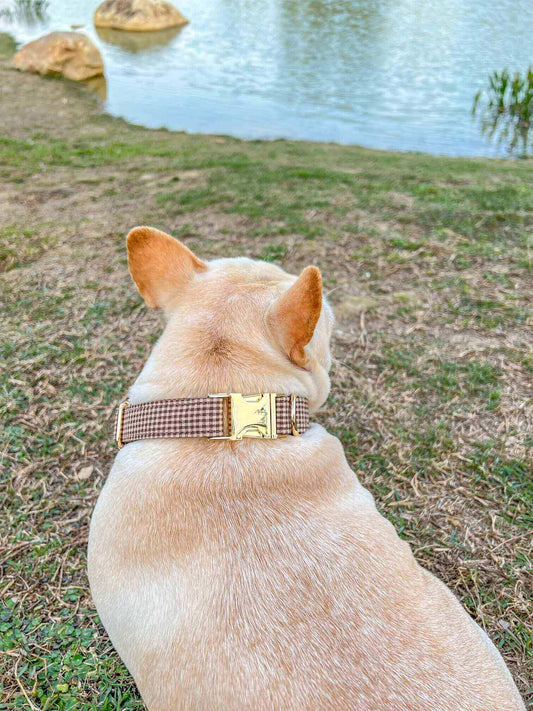 Dog Coffee Plaid Collar - Frenchiely